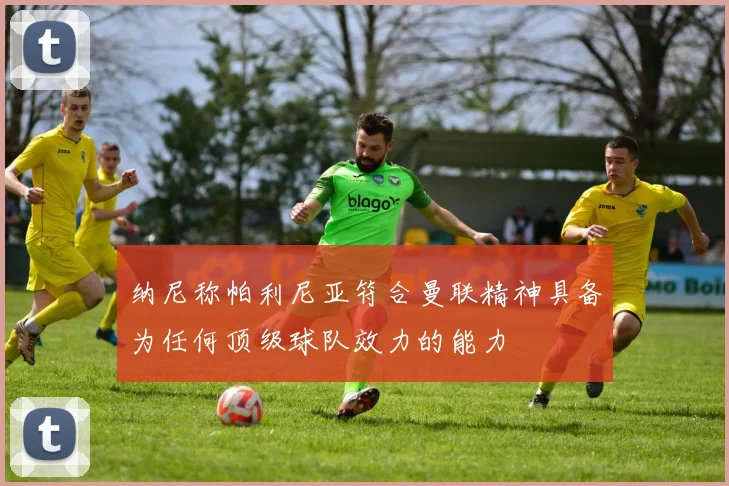 纳尼称帕利尼亚符合曼联精神具备为任何顶级球队效力的能力