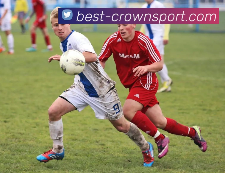 皇冠体育服务体系